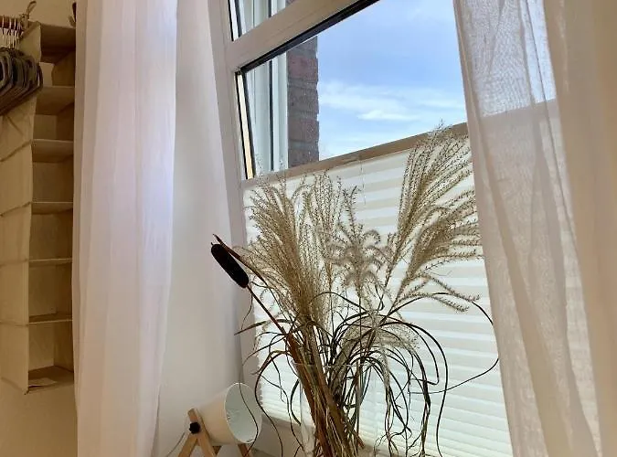 Devriesenkoje * Südbrookmerland